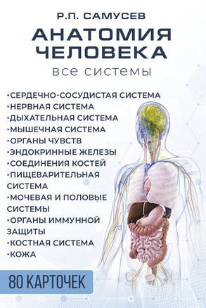 Анатомия человека. 80 карточек. Все системы Рудольф Самусев 